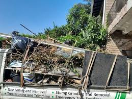 Best Attic Cleanout  in Rehoboth Beach, DE